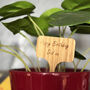 Personalised Gardening Kit, thumbnail 4 of 9