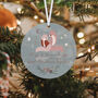 Baby's First Christmas Frosted Bauble, thumbnail 3 of 6