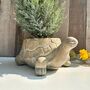 22cm Turtle Plant Pot Distressed Beige Stone Flower Holder Planter, thumbnail 1 of 7