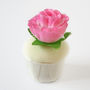 English Rose Cupcake Bath Melt, thumbnail 1 of 3