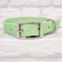 Waterproof Dog Collar And Lead Set Pistachio, thumbnail 2 of 3