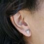 Shark Tooth Stud Earrings, thumbnail 2 of 3