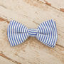 The Chichester Horizontal Striped Dog Collar Bow Tie, thumbnail 4 of 4