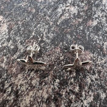 Starfish Stud Earrings Sterling Silver Sea Stars, 4 of 5