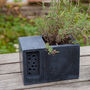 Charcoal Concrete Planter With Bee Hotel Beepot, thumbnail 3 of 11