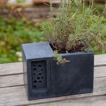 Charcoal Concrete Planter With Bee Hotel Beepot, 3 of 11