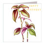 Gold Foiled Tradescantia Birthday Card, thumbnail 2 of 3