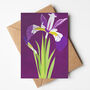 Tropical Night Iris Illustrated Greeting Card, Sustainable, Printed In England, Floral, Purple, Textured Card, All Occasion, thumbnail 1 of 2
