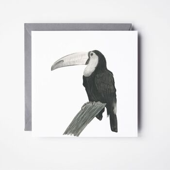 Sal The Toucan Luxury Blank Greeting Card, 2 of 6