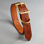 Luxury Leather Dog Collar And Matching Lead Set Brown, thumbnail 4 of 12