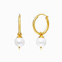 Fresh Water Pearl Simple Gold Hoops, thumbnail 2 of 2