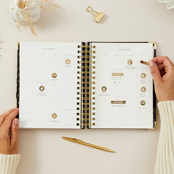 2026 Daily Planner Tortoise, 8 of 12