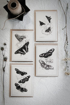 Monochrome Butterfly Greeting Cards – Set Of Four A6, 11 of 11