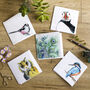 Feathered Friends Pack Of Five Blank Greeting Cards, thumbnail 4 of 7