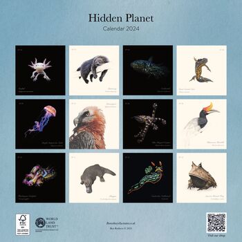 Hidden Planet 2024 Calendar, 4 of 4