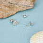 Sterling Silver Starfish And Shell 18 G Screw Back Stud Earrings, thumbnail 3 of 12