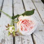 Everlasting Pink Rose, thumbnail 2 of 5