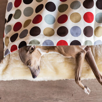 Charley Chau Dotty Snuggle Beds, 5 of 10