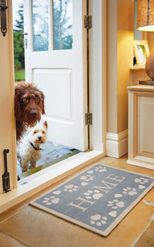 Hug Rug Home Paws Blue, 4 of 5