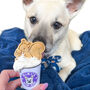 Personalised Pet Dog Puppaccino Pup Cup, thumbnail 1 of 12
