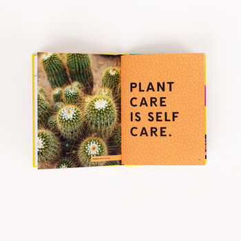 Hi Cacti: Growing Houseplants And Happiness Book, 5 of 12