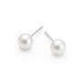 Sterling Silver White Freshwater Pearl Stud Earrings – 5mm, thumbnail 10 of 10