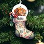 Personalised Vizsla Christmas Stocking Bauble, thumbnail 1 of 2