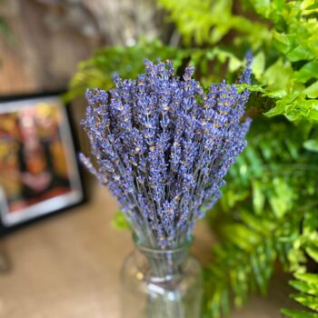 Dried Lavender Bunch And Glass Vase Gift Set, 4 of 7