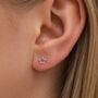 Small Sterling Silver Open Star Stud Earrings, thumbnail 1 of 8