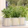 Vintage Style Planter Pots In Basket, thumbnail 3 of 6