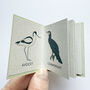 Tiny Book Of Coastal Birds Handmade Mini Nature Book, thumbnail 6 of 8