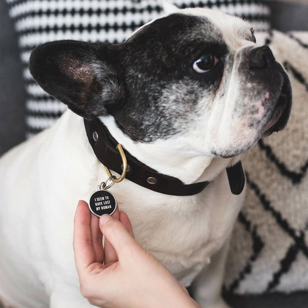 I Seem To Have Lost My Human Funny Pet ID Tag By Twin Pines Creative |  