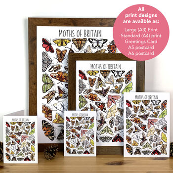 Moths Of Britain Wildlife Print, 10 of 10