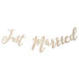 Wooden Just Married Wedding Bunting, thumbnail 2 of 3