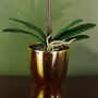 Yellow Orchid Artificial Golden Pot 48cm Real Touch, thumbnail 2 of 3