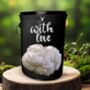 “With Love” Lion’s Mane Mushroom Grow Kit, thumbnail 1 of 4