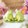 Luna Frog Salt And Pepper Shakers, thumbnail 1 of 2