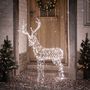 Duchy Stag Dual Colour Micro LED Light Up Reindeer, thumbnail 3 of 6