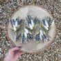 Dried Lavender Wedding Buttonhole, thumbnail 2 of 3