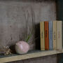 Bird Air Plant Holder In Pale Pink, thumbnail 6 of 12