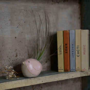 Bird Air Plant Holder In Pale Pink, 6 of 12