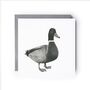 Rana The Duck Luxury Blank Greeting Card, thumbnail 4 of 4