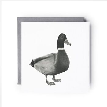 Rana The Duck Luxury Blank Greeting Card, 4 of 4