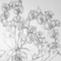 Golden Orchid Watercolour And Gilt Painting, thumbnail 6 of 8