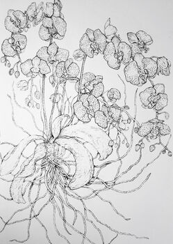 Golden Orchid Watercolour And Gilt Painting, 6 of 8