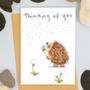 Thinking Of You Hedgehog Sympathy Card, thumbnail 1 of 1