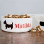 Personalised Ceramic Dog Bowl, thumbnail 2 of 6