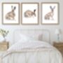 Trio Of Fine Art Hare Prints, thumbnail 3 of 5