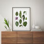 Houseplants, Botanical Art Print, thumbnail 1 of 2