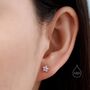 Tiny Forget Me Not Flower Cz Stud Earrings, thumbnail 3 of 12
